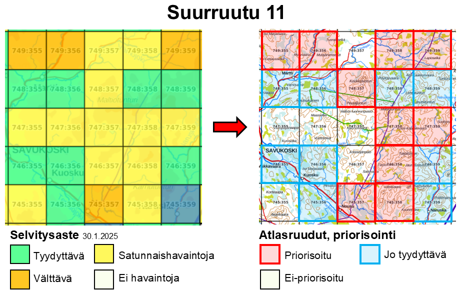 Vasemmalla on suurruudun 11 atlasruudut ja väreinä niiden selvitysasteet tammikuun 2025 tilanteen mukaan. Atlasruuduista 9 on vähintään tyydyttäviä, 4 on välttäviä ja 12 on satunnaishavaintojen varassa. Oikealla on suurruudun 11 atlasruuduille tehty priorisointi. Yhdeksää vähintään tyydyttävää ruutua ei tarvitse priorisoida, sillä ne ovat jo tavoitteessa. Lopuista ruuduista on valittu 10, jotka on merkitty punaisella. Nämä ovat priorisoidut ruudut, jotka pitäisi nostaa tyydyttäviksi.